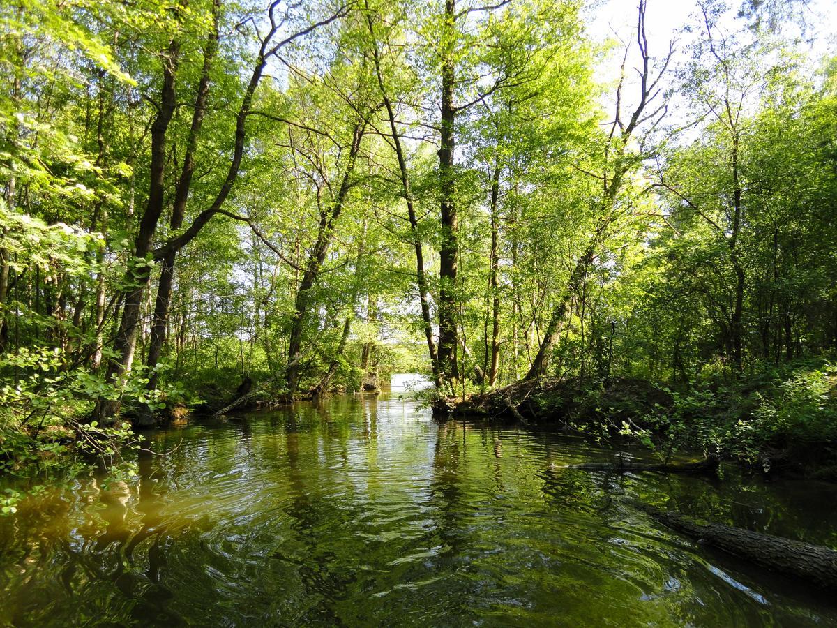 Am Glubigsee * Wendisch Rietz